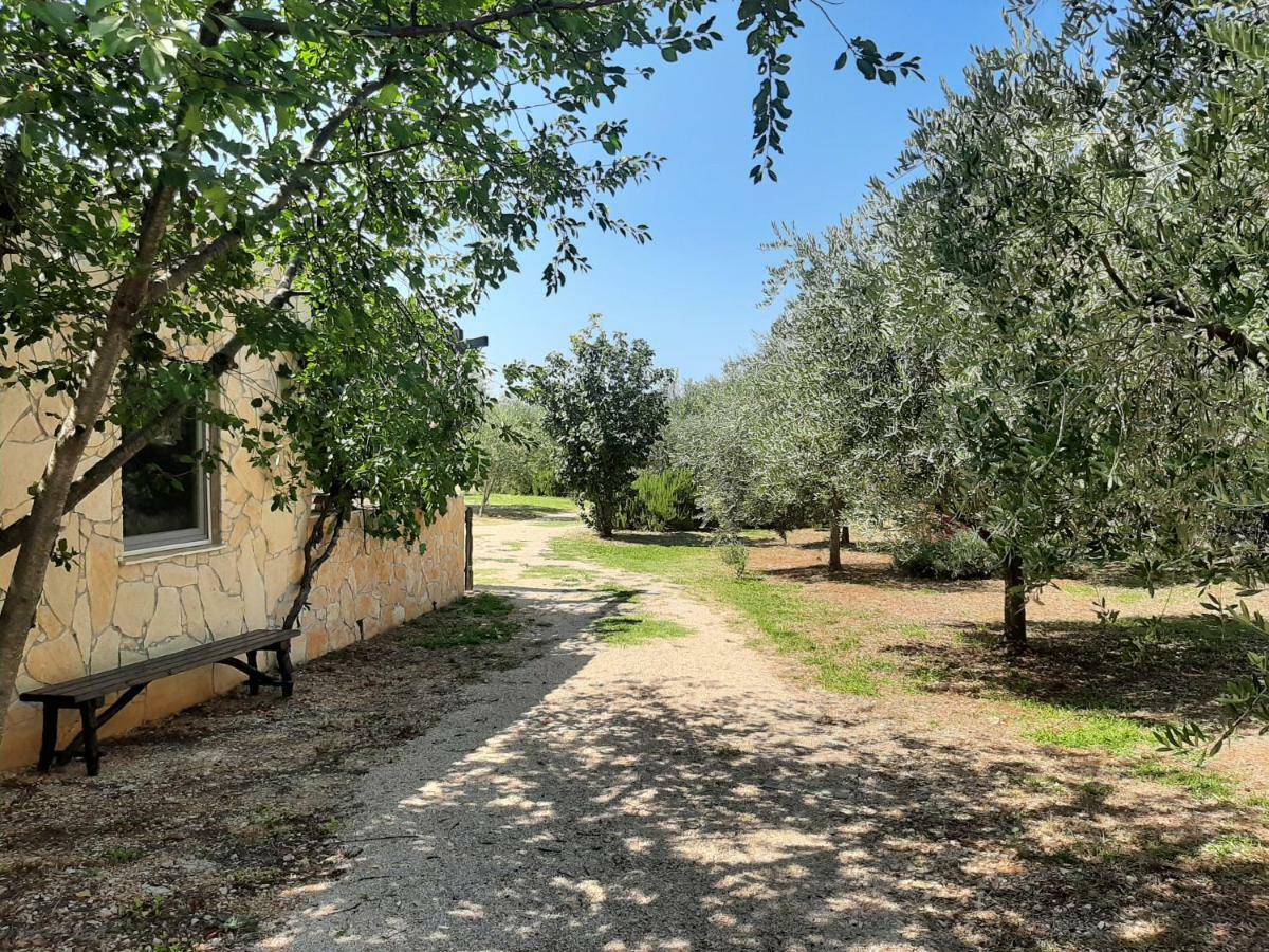 House Pulina Hébergement de vacances *